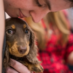 A woman caresses a small brown puppy