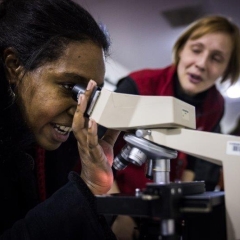 Guest looking through a microscope