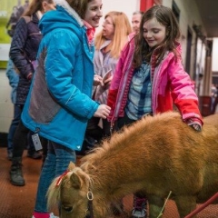 Mini horse eating hay as children pet her