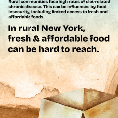 Graphic states, Rural New York communities face diet-related chronic disease and food insecurity, including limited access to fresh, affordable food. An open cardboard box illustrates the issue.