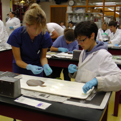 AQUAVET students working in a wet lab