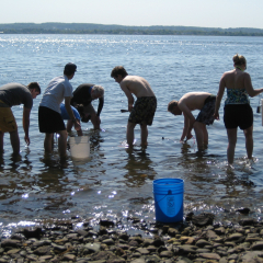 AQUAVET students at the shoreline collecting invertebrates