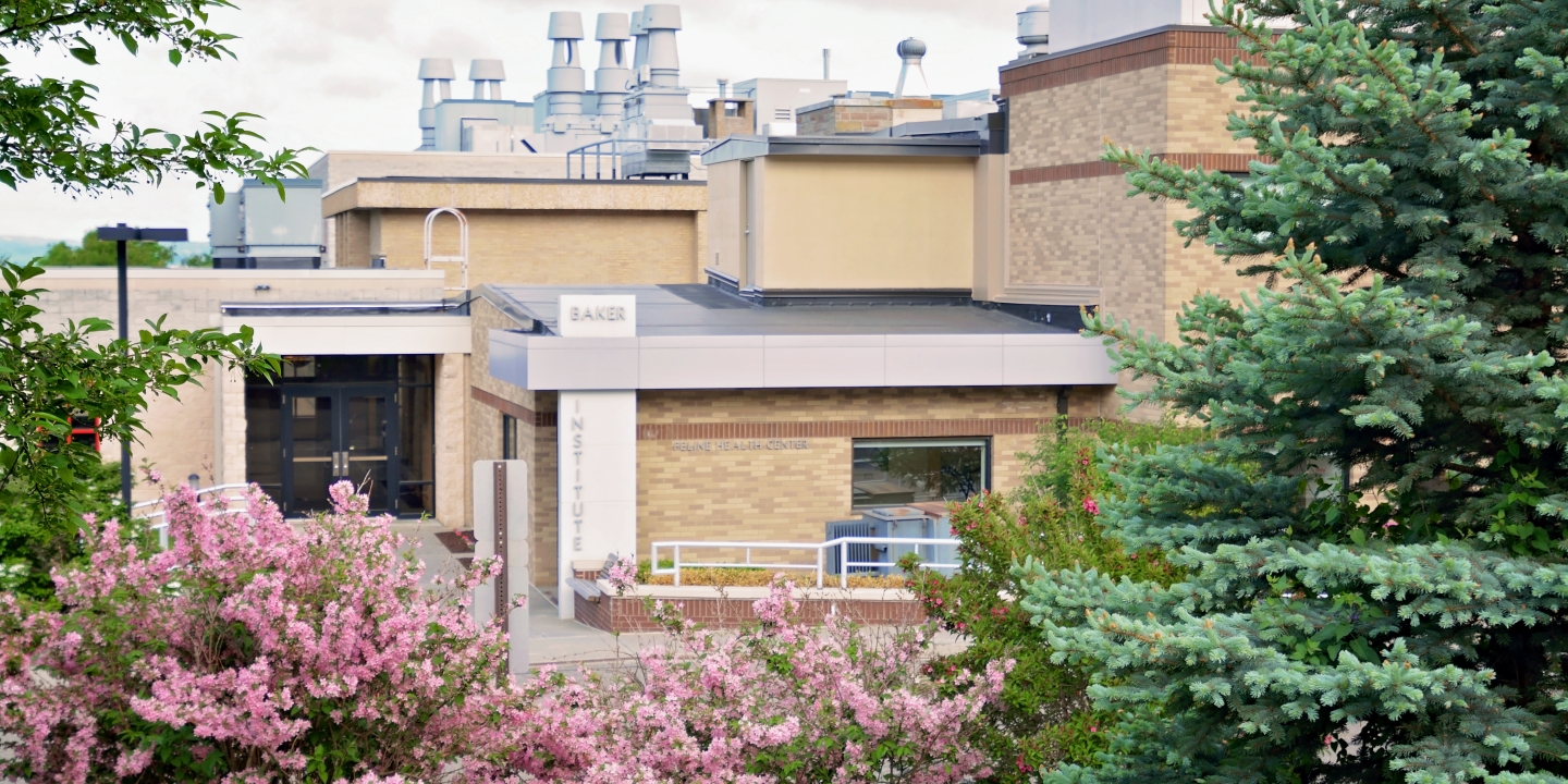 An outside shot of the Baker Institute. 