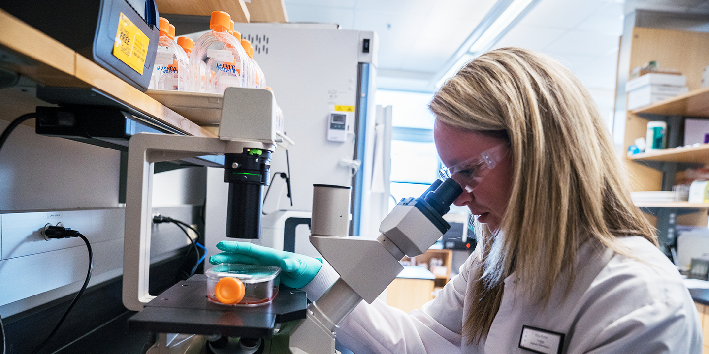 A woman looks into a microscope in the virology laboratory