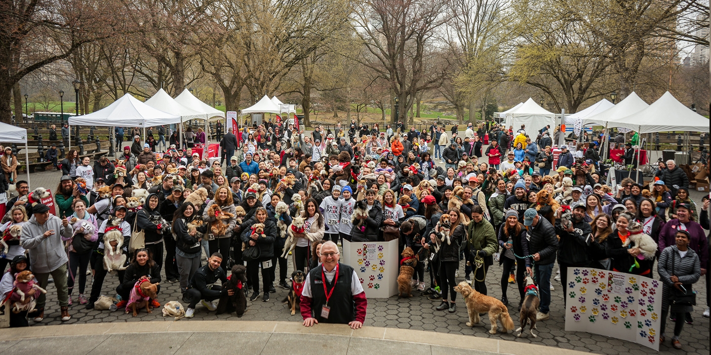 A group of people stand in Central Park with several dogs. 