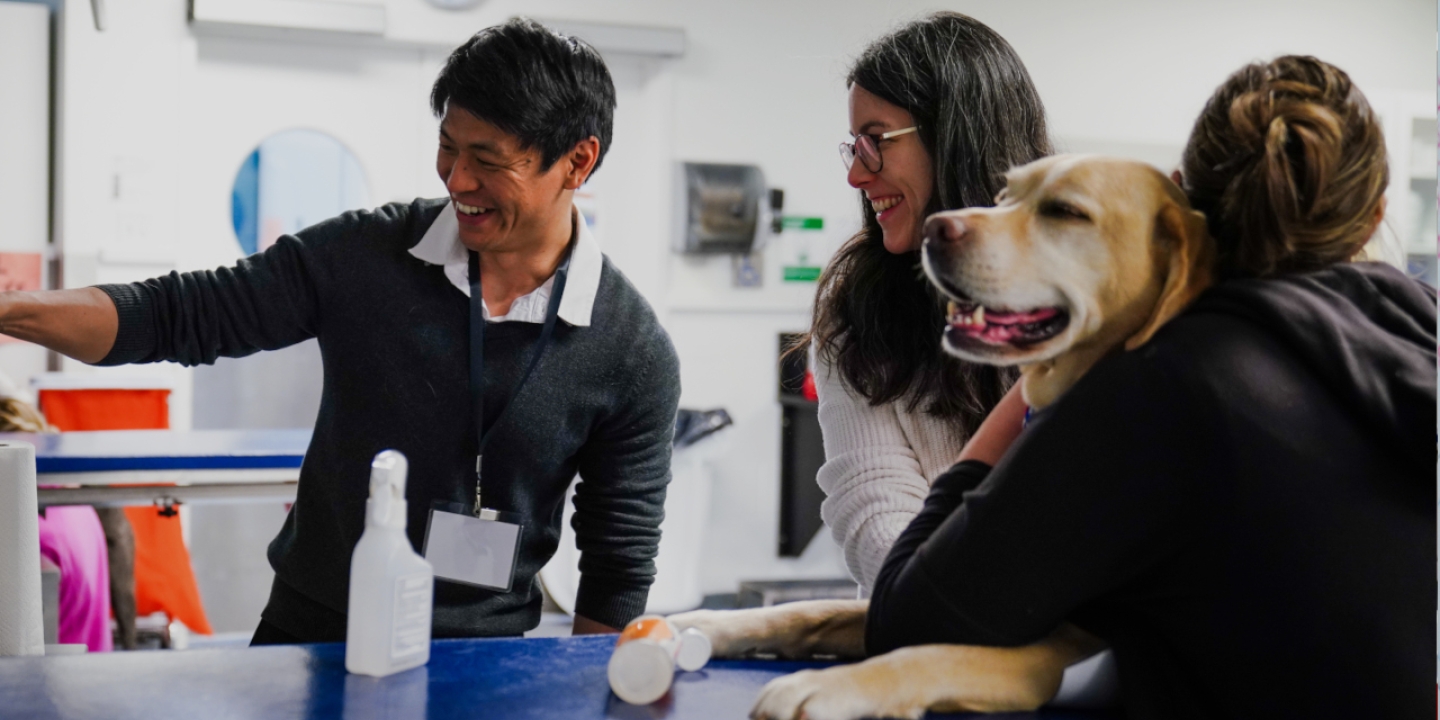 Vet students and their teachers examining a dog