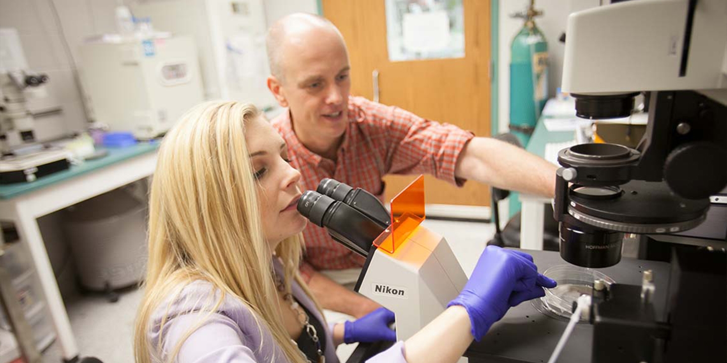A bald man and a woman with blonde hair work in a lab. 