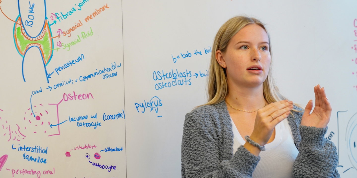 A student in front of a white board presenting information