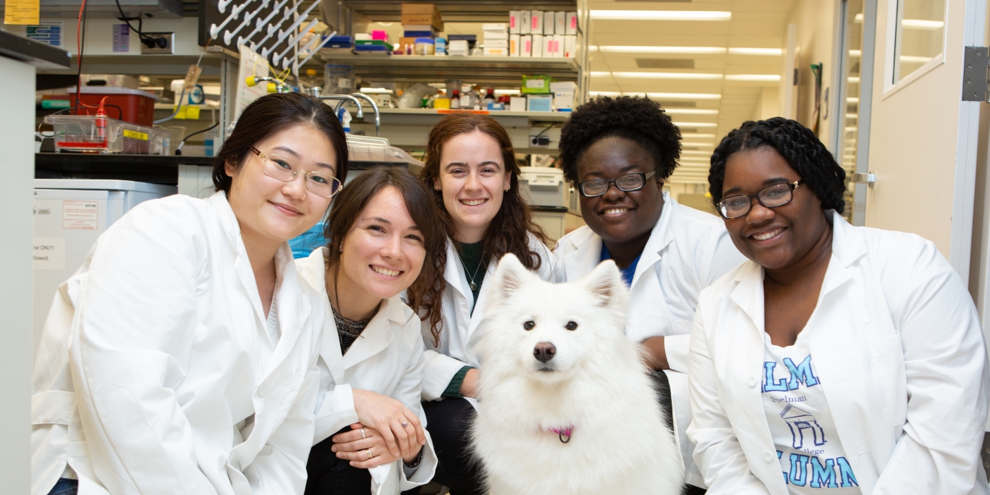 Veterinarians kneeling around a dog for a group photo
