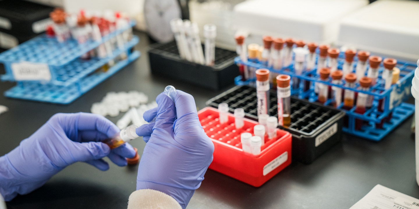 Gloved hands process regulatory samples in the Animal Health Diagnostic Center