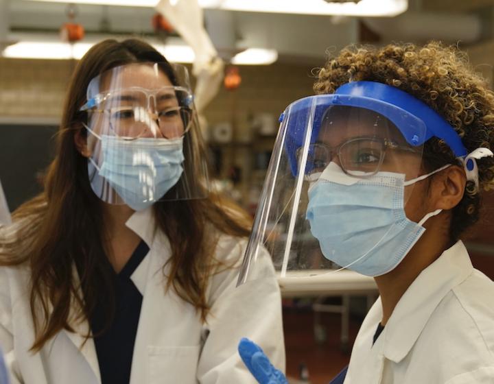 Two students discuss a neuroanatomy lab sample while wearing face shields and masks
