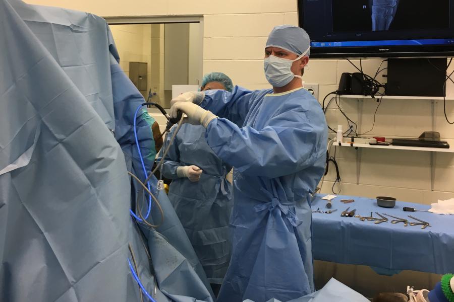 Dr. Pigott performing an arthroscopy Dr. Pigott performing an arthroscopy