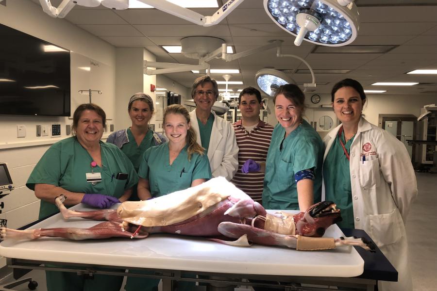 soft tissue surgical team with canine SynDaver surgical model on table
