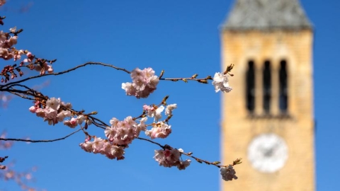 Cornell clock tower