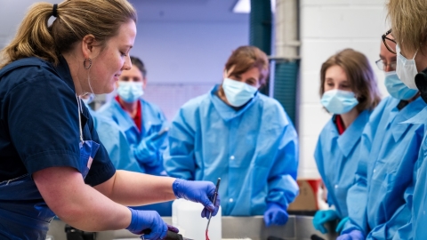 An anatomic pathology veterinarian demonstrates over a necropsy table to an audience of smocked vets