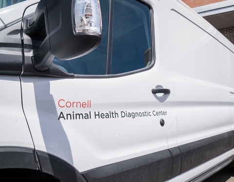 A little truck with the AHDC logo on the door