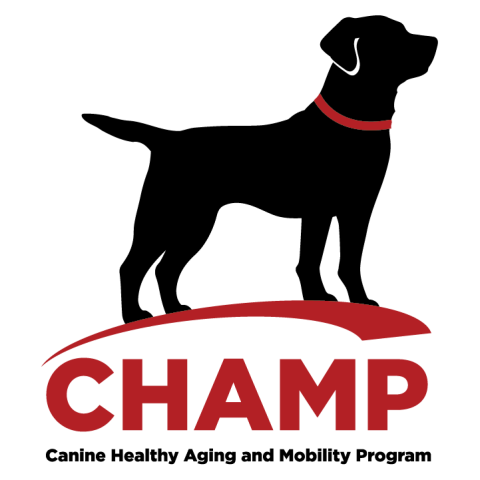 CHAMP logo: Canine Healthy Aging and Mobility Program