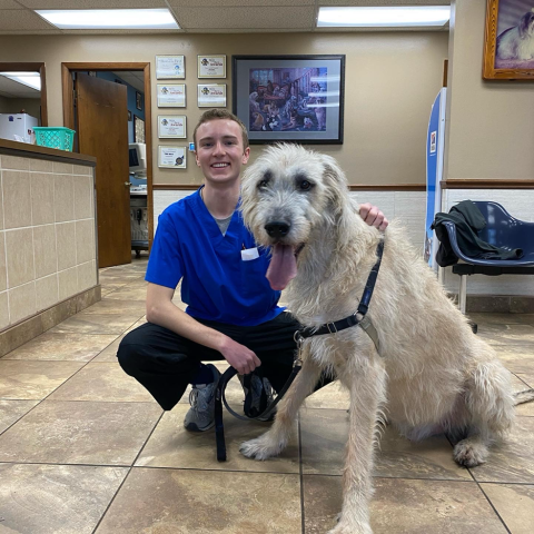 A man in blue kneels behind a large dog. 