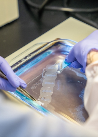 A scientist preparing microscopy slides