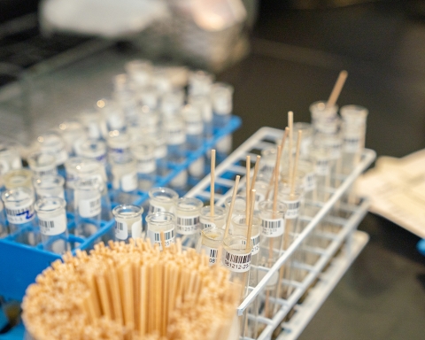 Sample tubes on a bench