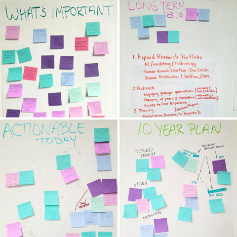 A collage of Post-it notes with action items, long-term goals and other ideas from the PMDS brainstorming meeting