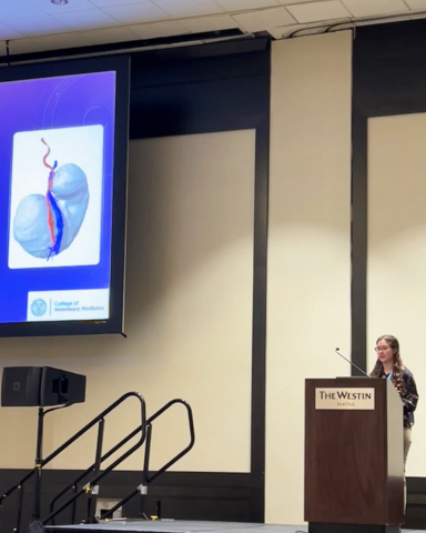 A woman at a podium presents at the exotics conference