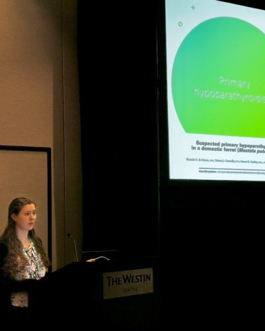 A woman at a podium presents at the exotics conference