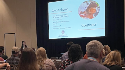 A woman at a podium presents at the exotics conference