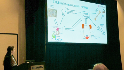 A woman at a podium presents at the exotics conference