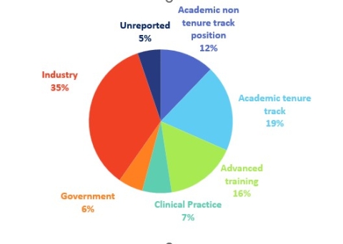 pie chart of career outcomes