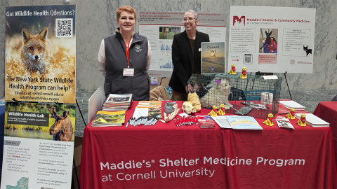 Jess Reed and Jennifer Peaslee standing behind a CVM booth at Rural Resources Fair