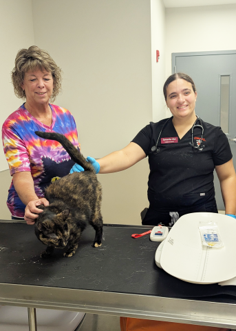 A shelter medicine trainee with a cat and the cat's owner at a clinic
