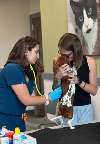 Intern examining a dog at a veteran wellness clinic 