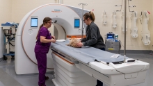 Two veterinary staff prepare a patient for a CT scan using the new machine