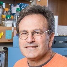 A professional portrait image of Dr. Matthew Waldor.