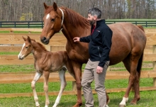 Callum Donnelly with a mare and her foal
