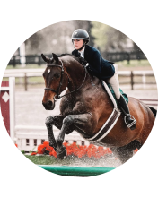 A person on a horse