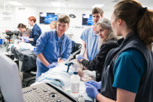 Veterinarians around a anesthetized dog