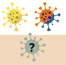 cartoon of two viruses of different color and a third one in gray with a question mark inside
