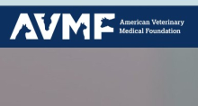 AVMF Logo
