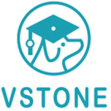 VSTONE logo