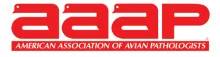 AAAP logo