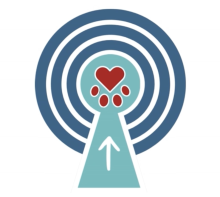 Access to care visually represented by an arrow going through a lock toward a heart-shaped paw