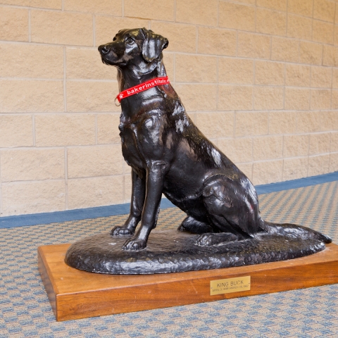 Statue of the dog King Buck