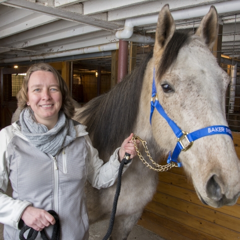 woman standing holding a blue bridle on a grey horse