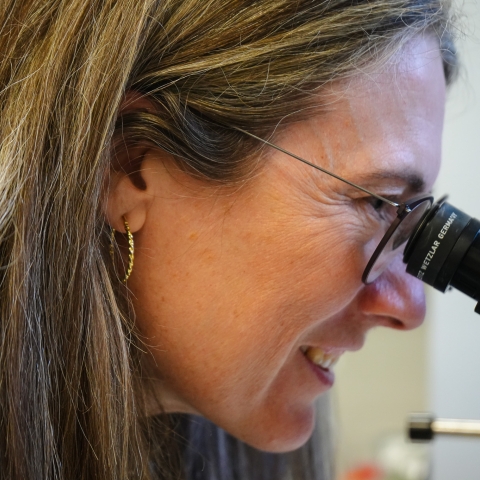 woman with brown hair looking into a microscope