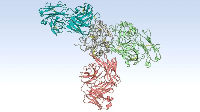 Artistic rendering of a protein