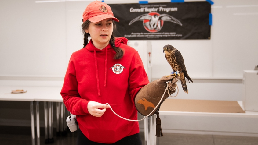 A person holding a bird of prey