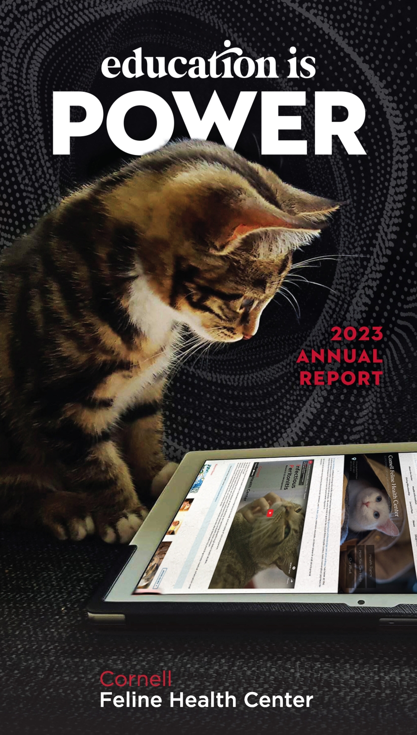 cat photo - education is power