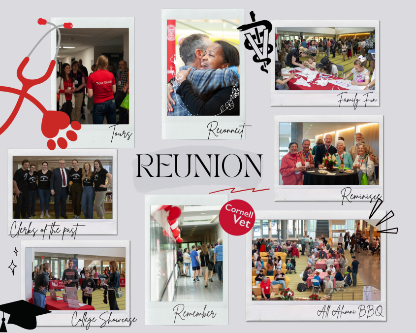 Reunion Collage